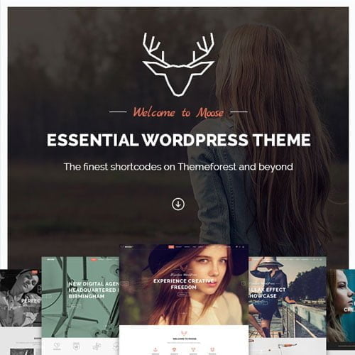 Moose – Creative Multi-Purpose Theme