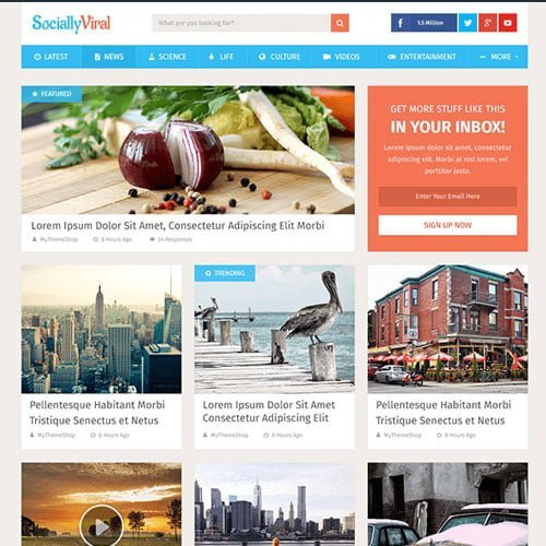 MyThemeShop SociallyViral WordPress Theme