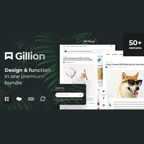 Gillion | Multi-Concept Blog/Magazine & Shop WordPress AMP Theme